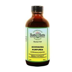  Alternative Health & Herbs Remedies Echinacea Purpurea 
