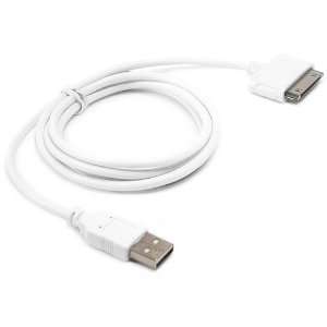  Apple iPad DirectSync Cable (White): Computers 