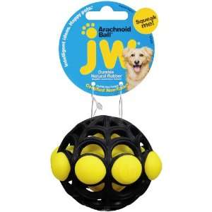  JW Pet Company Small Arachnoid Ball Dog Toy, Colors Vary 