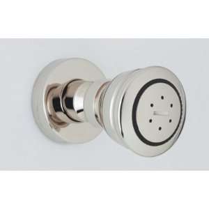  Shower Heads  Slide Bars by Rohl   1095 8 in Inca Brass 