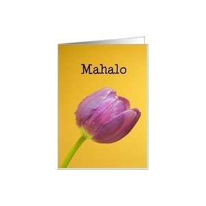  Mahalo means Thank You in Hawaiian   Purple Tulips Card 