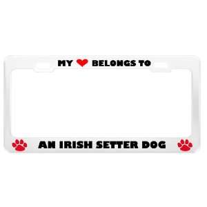  An Irish Setter Dog Pet White Metal License Plate Frame 