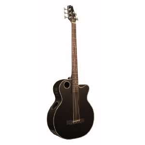  Boulder Creek Guitars EBR1 B5 5 Strings Acoustic Electric 