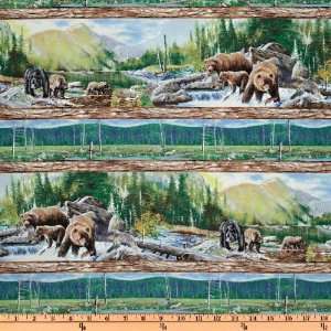  44 Wide Bear Mountain Repeating Stripe Multi Fabric By 