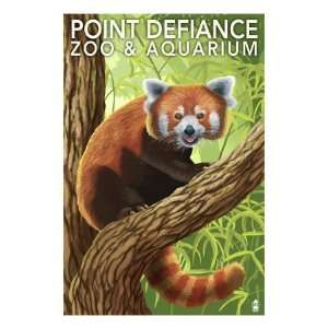 Point Defiance Zoo and Aquarium   Red Panda, c.2009 Premium Poster 
