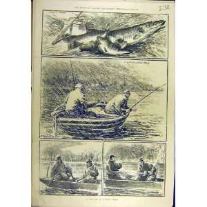   1881 Cold Day Virginia Water Fish Pike Perch Old Print: Home & Kitchen