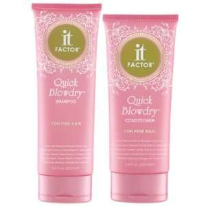  It Factor Quick Blow Dry DUO For Fine Hair Beauty