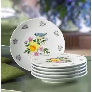   Floral Porcelain Dessert Plates By Collections Etc