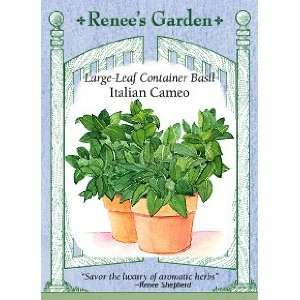  Basil   Large Leaf Cameo Seeds: Patio, Lawn & Garden