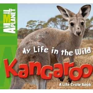  My Life in the Wild Kangaroo (Animal Planet 