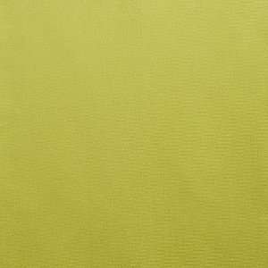  2470 Beguile in Kiwi by Pindler Fabric