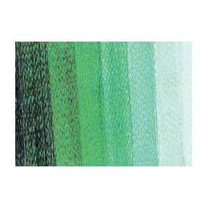  Mussini Oil Color   35 ml Tube   Helio Green Deep: Office Products
