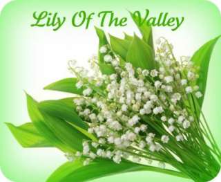 CBD LILY OF THE VALLEY PERFUME OIL ROLLON TRUE FLORAL  