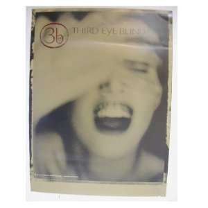  Third Eye Blind Poster Woman Covering Face