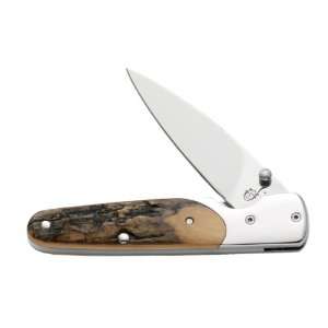  Case Cutlery 05129 SlimLock Pocket Knife with BG 42 Blade 