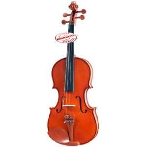  CECILIO ROSEWOOD STUDENT VIOLIN 1/8 Musical Instruments