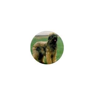  Briard 1in Mini Magnet Q0035 