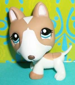 Littlest Pet Shop~#1095 TAN/WHITE BULL TERRIER PUPPY DOG~G156 LPS New 