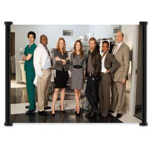  Body of Proof TV Show Fabric Wall Scroll Poster (42x31 