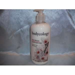   Cherry Blossom Body & Hand Lotion 12 Oz Bottle (Pump Top): Beauty