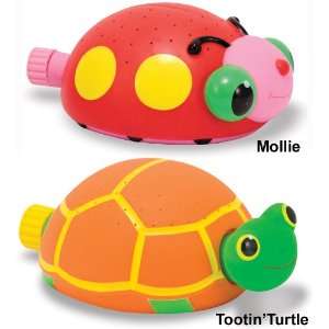 Sunny Patch Bollie or Tootin Turtle Sprinkler by Melissa 