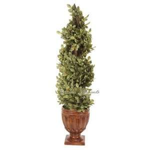  Boxwood Spiral Topiary, Artificial Silk Plant, 2pcs: Home 