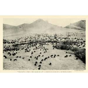  1925 Print Cattle Cows Montana Ranch Bozeman Herd Pasture 