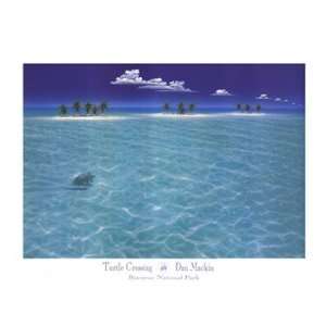  Dan Mackin   Turtle Crossing Size 39 x 28   Poster by Dan Mackin 