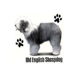  Old English Sheepdog Shirts: Pet Supplies