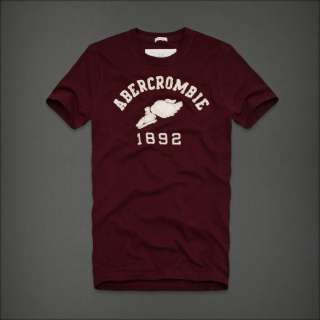   Abercrombie & Fitch Men Cellar Mountain Graphic Tee T Shirt Top  