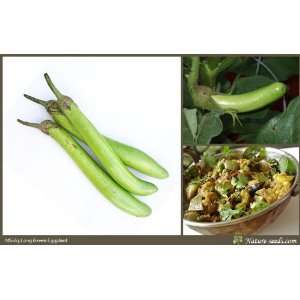  Nature Seeds Long Green Eggplant / Brinjal , Rare, High 
