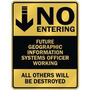 NO ENTERING FUTURE GEOGRAPHIC INFORMATION SYSTEMS OFFICER WORKING 