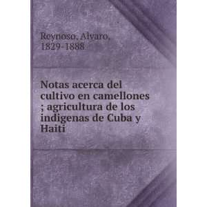   de los indigenas de Cuba y Haiti Alvaro, 1829 1888 Reynoso Books