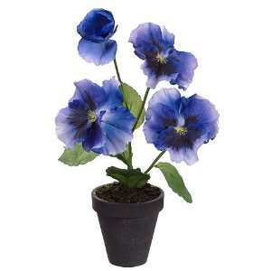  8.5 Pansy in Paper Mache Pot Blue Violet (Pack of 2)