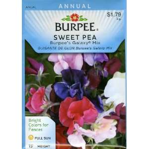  Burpee 31625 Sweet Pea Burpees Galaxy Mix Seed Packet 
