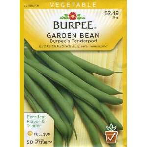  Burpee 61741 Bean, Bush Snap Burpees Tenderpod Seed 