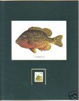 PUMPKINSEED SUNFISH Print SUNFISH Postal Stamp  