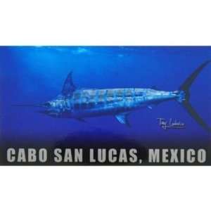  Pelagic Magnet   Cabo San Lucas, Mexico   Marlin: Sports 