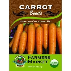  Organic Heirloom Chantenay Red Carrot Seeds Patio, Lawn 