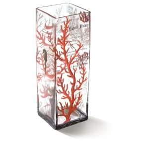  Coral Vase: Home & Kitchen