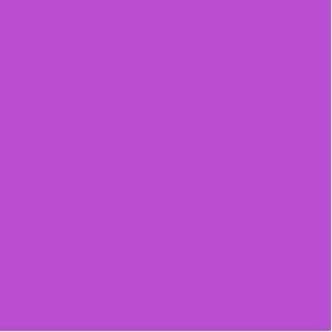  Canson Mi Teintes Tinted Paper violet 19 in. x 25 in 