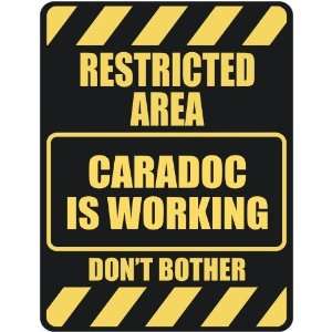   RESTRICTED AREA CARADOC IS WORKING  PARKING SIGN