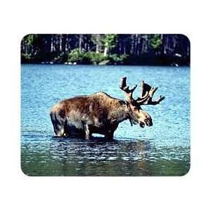  Moose Mousepad: Office Products