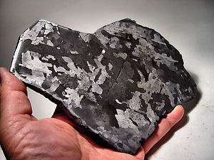 MUSEUM QUALITY! HUGE NEW CAMPO DEL CIELO METEORITE EXPERTLY ETCHED 