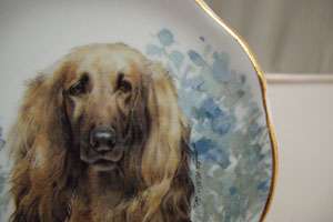 MINIATURE PLATE COLLECTABLE ENGLISH FINE BONE CHINA, AFGHAN HOUND 