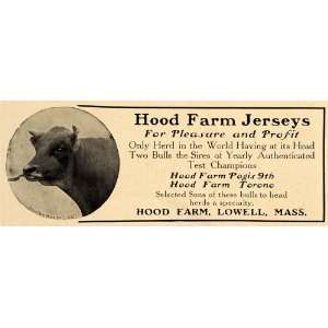  1907 Ad Hood Farm Lowell Massachusetts Jersey Cows Bull 