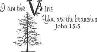 am The Vine   Vinyl Wall Art Decals Words Lettering  