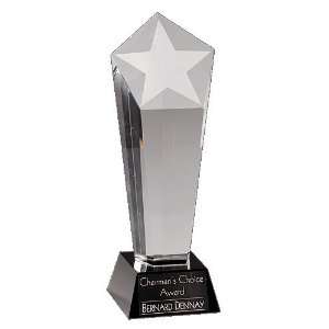  Star Crystal Corporate Award Trophy Frosted Column 10 1/4 