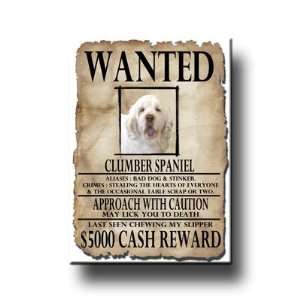 Clumber Spaniel Wanted Fridge Magnet