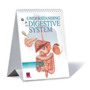   ) Understanding The Digestive System Educational Medical Flip Chart